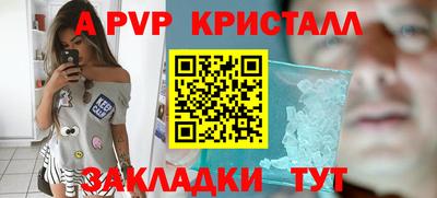 амф Бердск