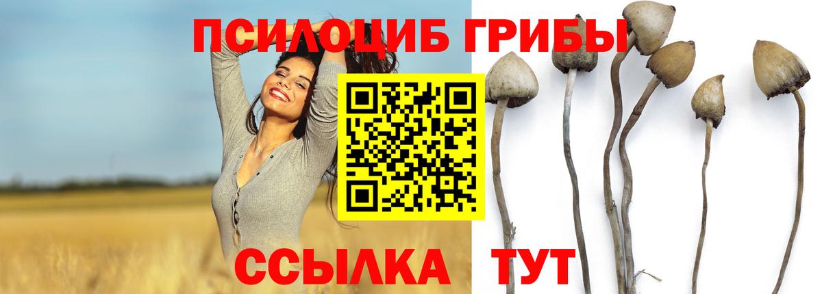 Псилоцибиновые грибы прущие грибы  Псилоцибиновые грибы Psilocybine cubensis  Вход с VPN  Усть-Илимск 