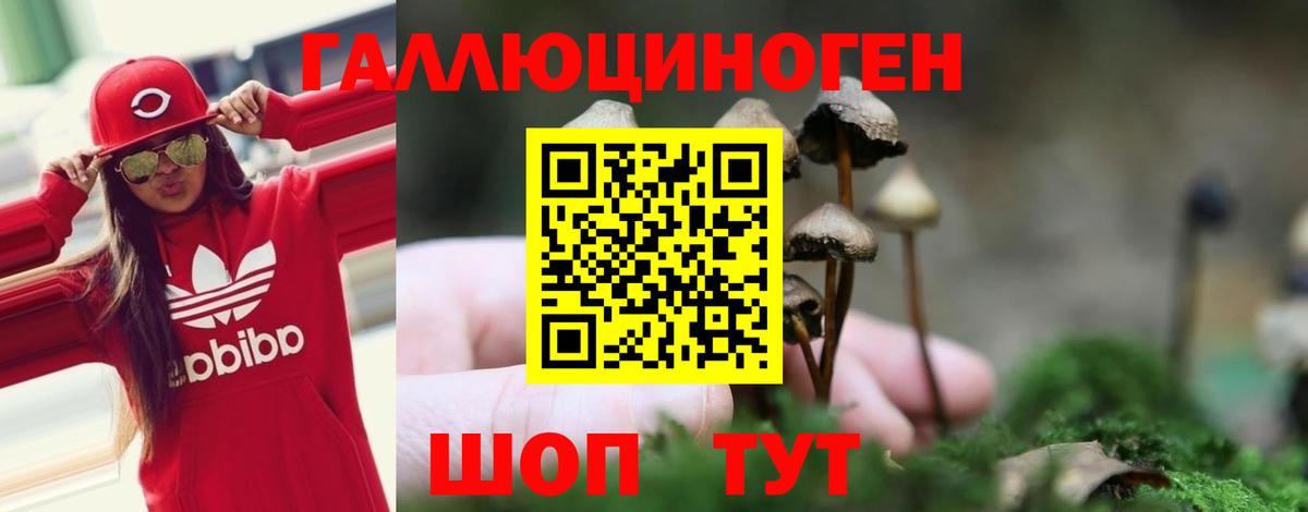Галлюциногенные грибы Cubensis Усть-Илимск